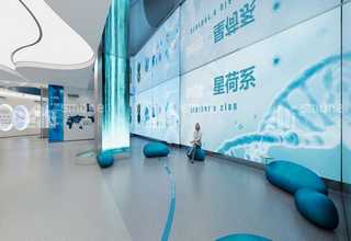 永州祛泪痕猫粮零食营养品诚信为本