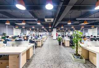 衢州实木板材供应商