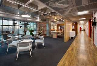 上城区艺术植物租赁厂家