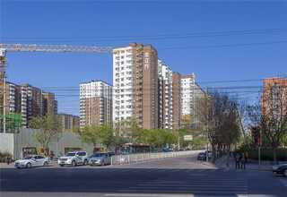 柔性振动盘厂商